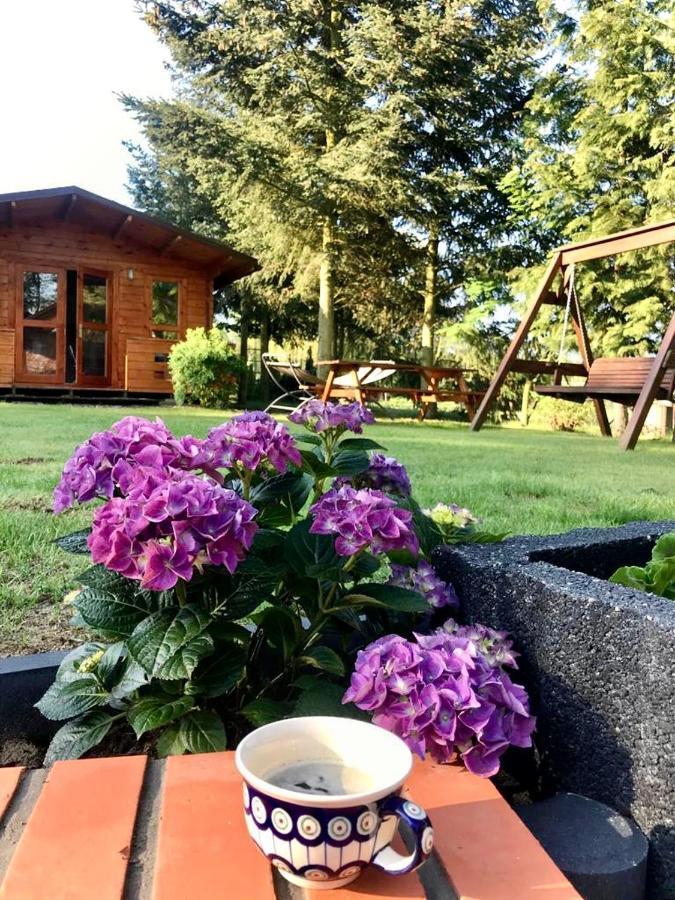 Osada Laskowo, Osrodek Nad Jeziorem Chalet *